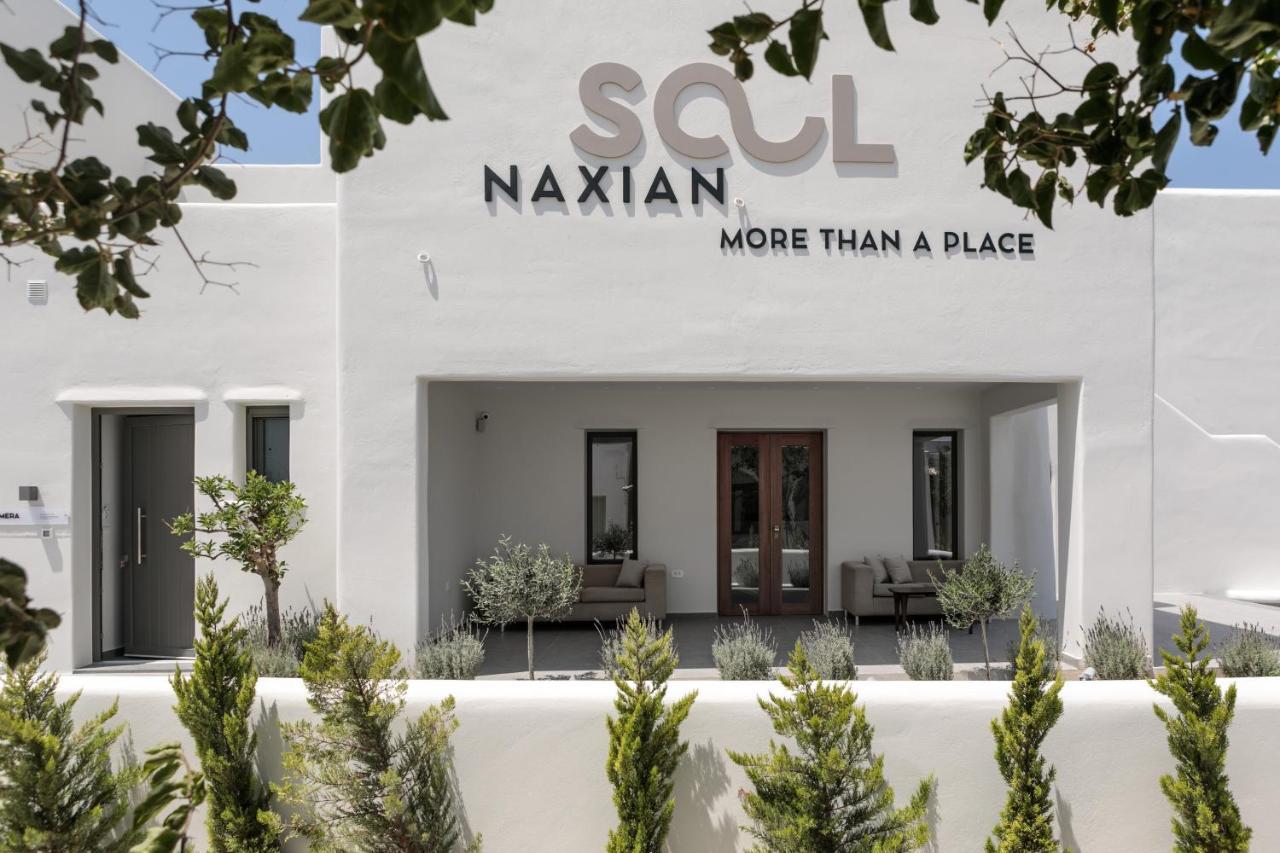 Naxian Soul Aparthotel Agia Anna  Exteriör bild